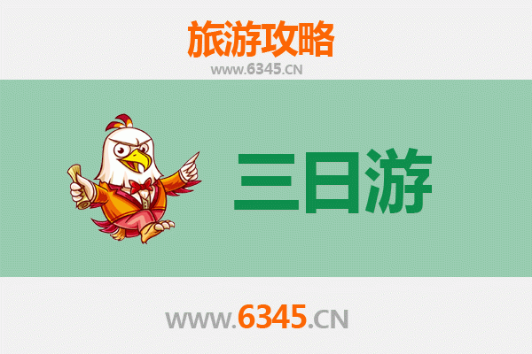 嘉义义竹春节三日游攻略：探寻乡野年味，漫游金黄稻浪与信仰秘境